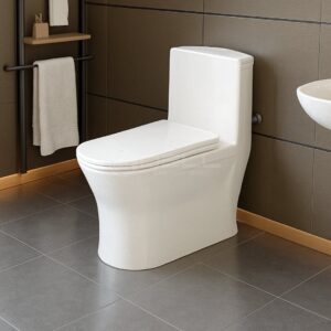 Dell 6 P-Trap English Toilet - Dell Sanitary Ware