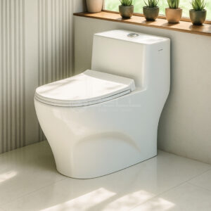 Aqua English Toilet - Dell Sanitary Ware